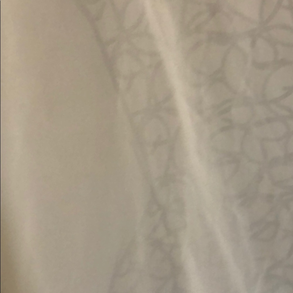 Sheer Top - Picture 2 of 3